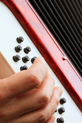 アコーディオン