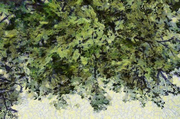 Trees and branches Illustrations creates an impressionist style of painting.