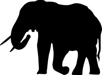 Silhouette Design from the Elephant in Black
