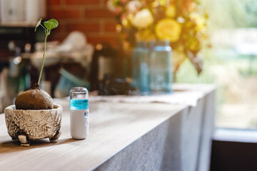 Alcohol nano mist sprayer for hand cleaning to prevent the spread of the Corona virus (Covid-19) to serve customers at coffee shop. Modern health technology. New normal lifestyle. Selective focus