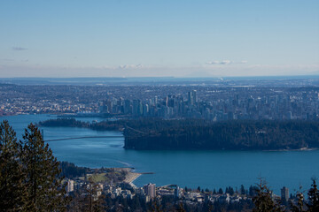 森に覆われたスタンレーパーク、ライオンズゲートブリッジとダウンタウン　バンクーバー　ブリティッシュコロンビア　カナダ　
