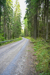 gravel road with railing trough Swedish forest