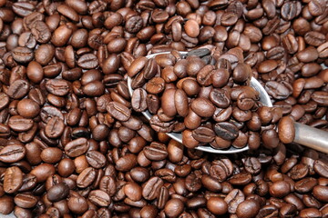 Close up coffee beans background and texture 
