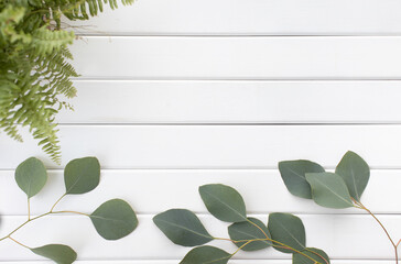 Green leaves of eucalyptus branches on a wooden background.