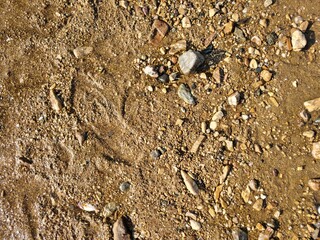 close up of a sand