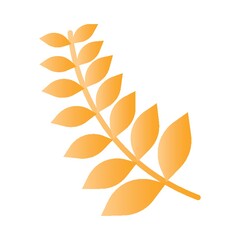 Fototapeta premium wheat stalk