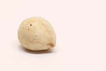a light almost white nut in studio environment