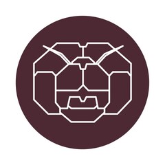 Fototapeta premium dragonfly head