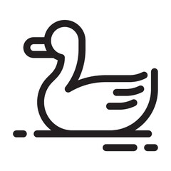 Duck on a white background