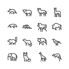 Collection of animals