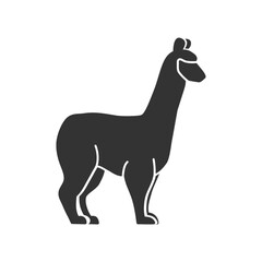 alpaca