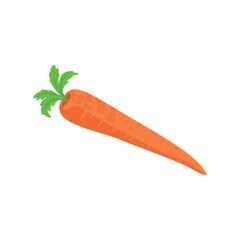Carrot on a white background