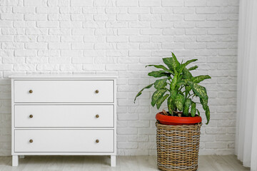 Modern chest of drawers and houseplant near brick wall in room