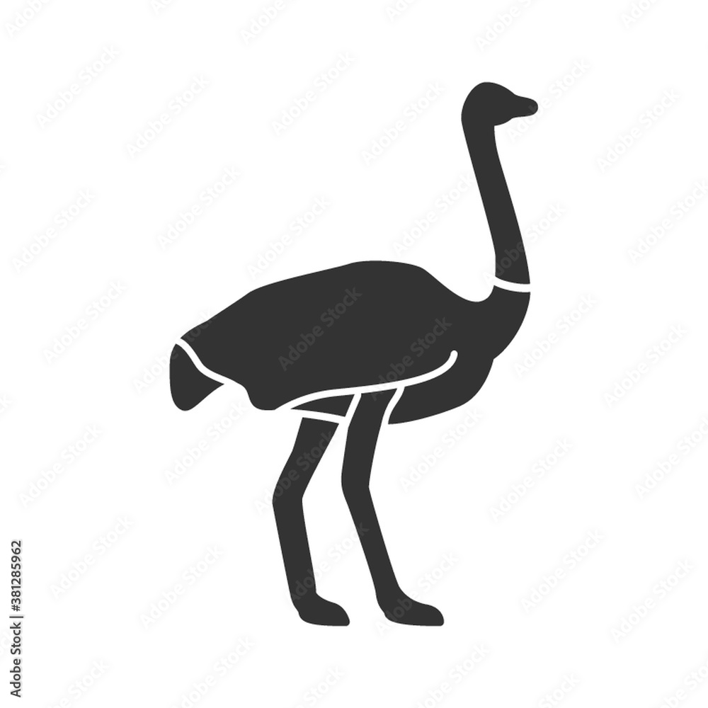 Poster ostrich