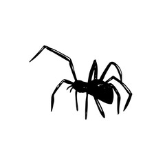 Hand drawn spiders. Halloween decoration set. 