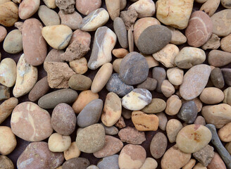 multicolored sea stones of different shades and colors