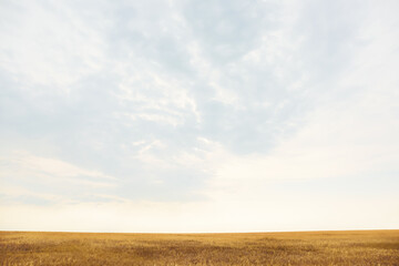 View of beautiful sky with clouds in countryside