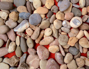 multicolored sea stones of different shades and colors