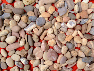 multicolored sea stones of different shades and colors