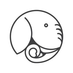 Obraz premium elephant