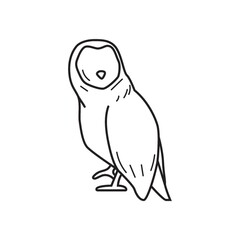owl