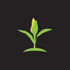 Fototapeta na wymiar Nature leaf icon and symbol vector illustration for web app