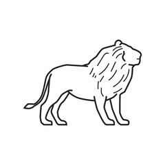 lion