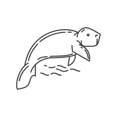 dugong