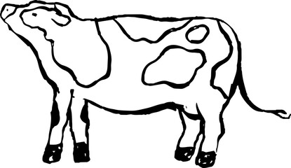 This is a illustration of  Hand drawn realistic dairy cow