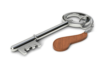 Metal key with wooden Pancreas shaped keychain isolated on white background. Pancreas concept. 3d illustration.