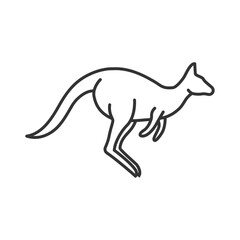kangaroo