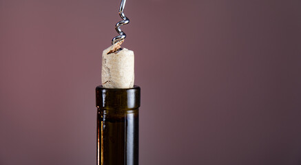 wine bottle and  opener