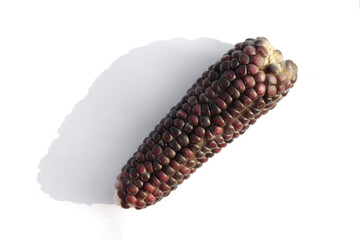 Corn cobs isolated on a white background