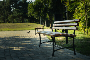 Benches in beautiful city park in bright sunny morning