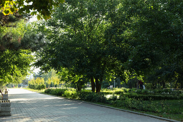 Beautiful city park in bright sunny morning