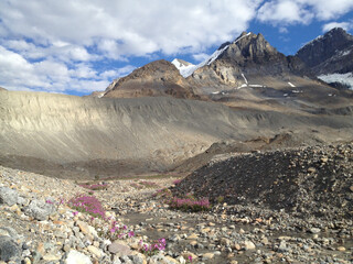 Glacial Valley in Early Summer in Alberta, Canada