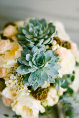 Obraz na płótnie Canvas Green-blue succulent echeveria in the bride's wedding bouquet close-up.