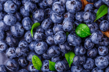 Fresh blueberry background. Blueberry Texture Close Blueberry Antioxidant Organic Superpeed Bowl Concept Healthy Nutrition