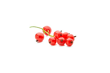 Isolated red currant on white background