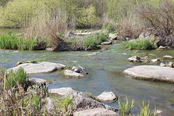 River with large granite stones. Steppe. Nature