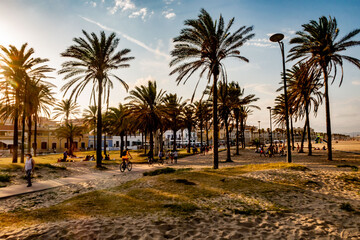 Fototapeta na wymiar Palmen am Strand von Valencia
