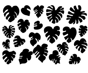 Vector set of black silhouettes of tropical leaves. Collection of exotic monstera leaves isolated on a white background.