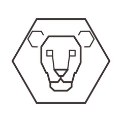 Male lion head