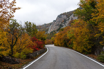 Fototapeta premium Paved road in the autumn forest. Colorful autumn landscape with mountains. The concept of travel. Grey cloudy sky without sun. Panoramic postcard autumn background.