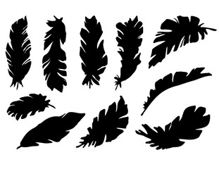 Vector set of black silhouettes of tropical leaves. Collection of exotic banana leaves isolated on a white background. Horizontal composition