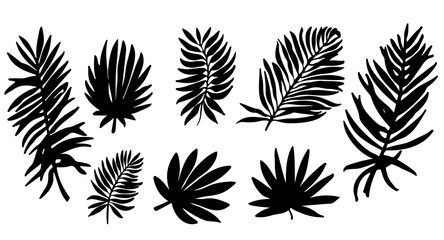 Vector set of black silhouettes of tropical leaves. Collection of exotic leaves of  palm isolated on a white background. Horizontal composition