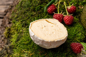 Camembert or brie french soft cheese with berries. Fresh brie cheese with white mold. banner, catering menu recipe place for text
