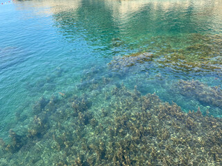 Fototapeta na wymiar Blue sea water surface. Turquoise watercolor. Sea bed with algae. Amazing marine background.