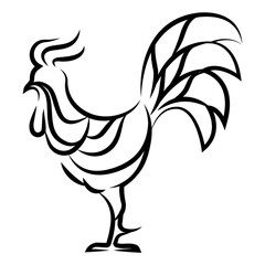 rooster