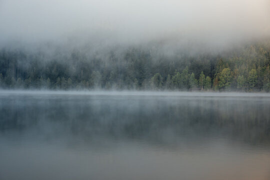 Scenic view of foggy lake and pine forest at dawn in the wilderness. Sfanta Ana,Romania,Transylvania. © szaboerwin